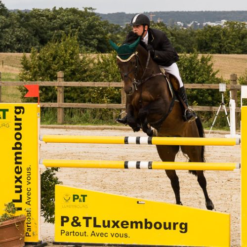 show jumping horse on obstacle