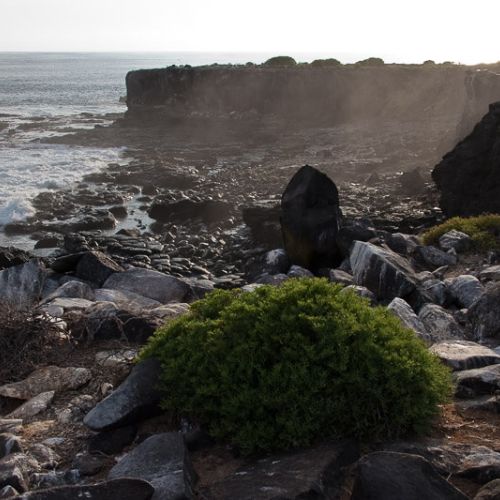 rocky landscape y the sea